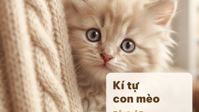 140+ Kí Tự Con Mèo ฅ^•ﻌ•^ฅ, Con Gấu ʕ•ᴥ•ʔ, Con Vật Copy 1 Chạm